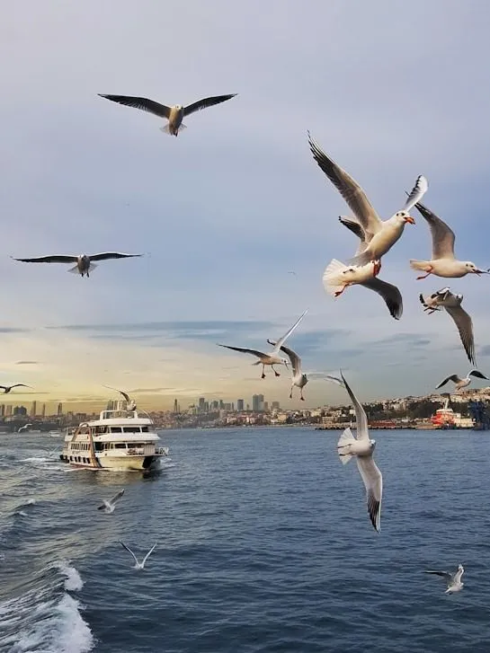 Boğaz Tekne Turu